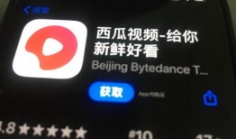 西瓜视频爆料是什么,揭秘热门话题背后的真相